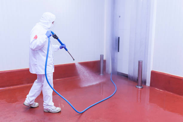 Best Roof Washing  in The Homesteads, TX